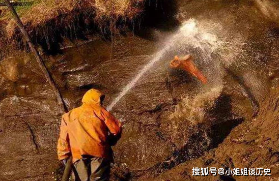 尸入人口_人口普查