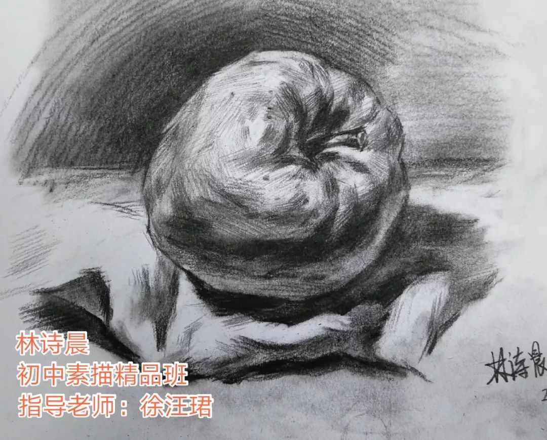 【微画展】2019年秋季初中素描精品班作品专辑