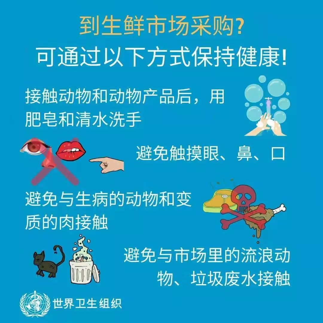 什么是集约型 f7818d536ccf47e2b0e67d2b48948830.jpeg