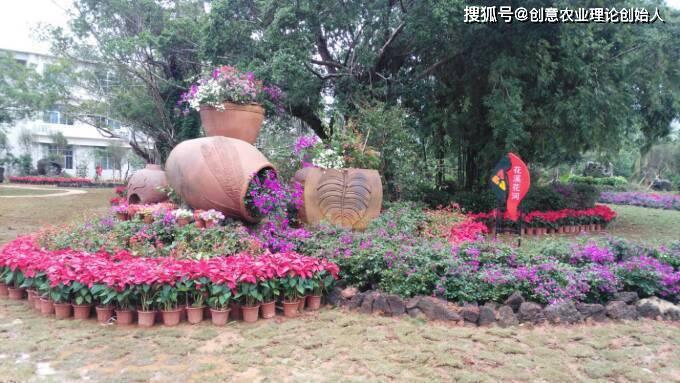 精品三角梅 盆景 f9cbe53e8f1f490b857c3fe20e28eda5.jpeg