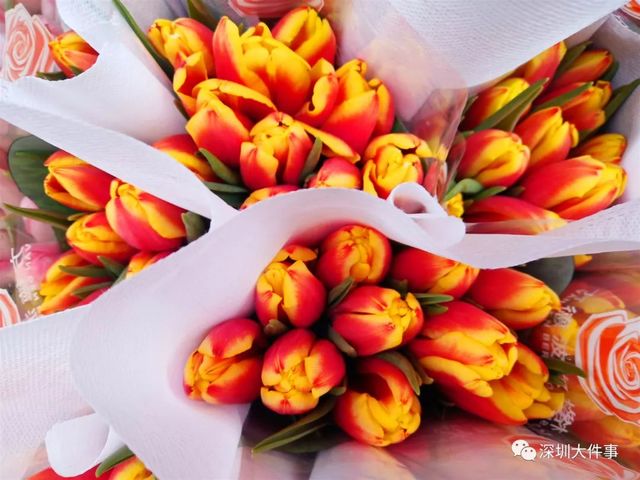 哪里买花最便宜网站 ffcf39c414da47019263eb1867faab37.jpeg