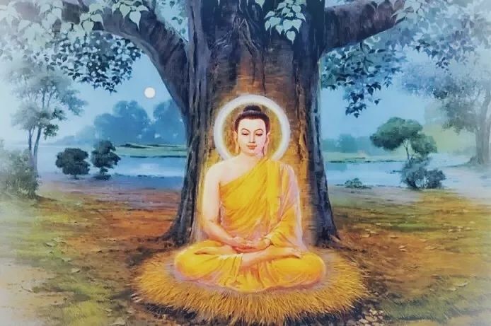 菩提树前数次诉说 阿弥陀佛拯救我 菩提树下我愿成佛 读的佛经我变懂