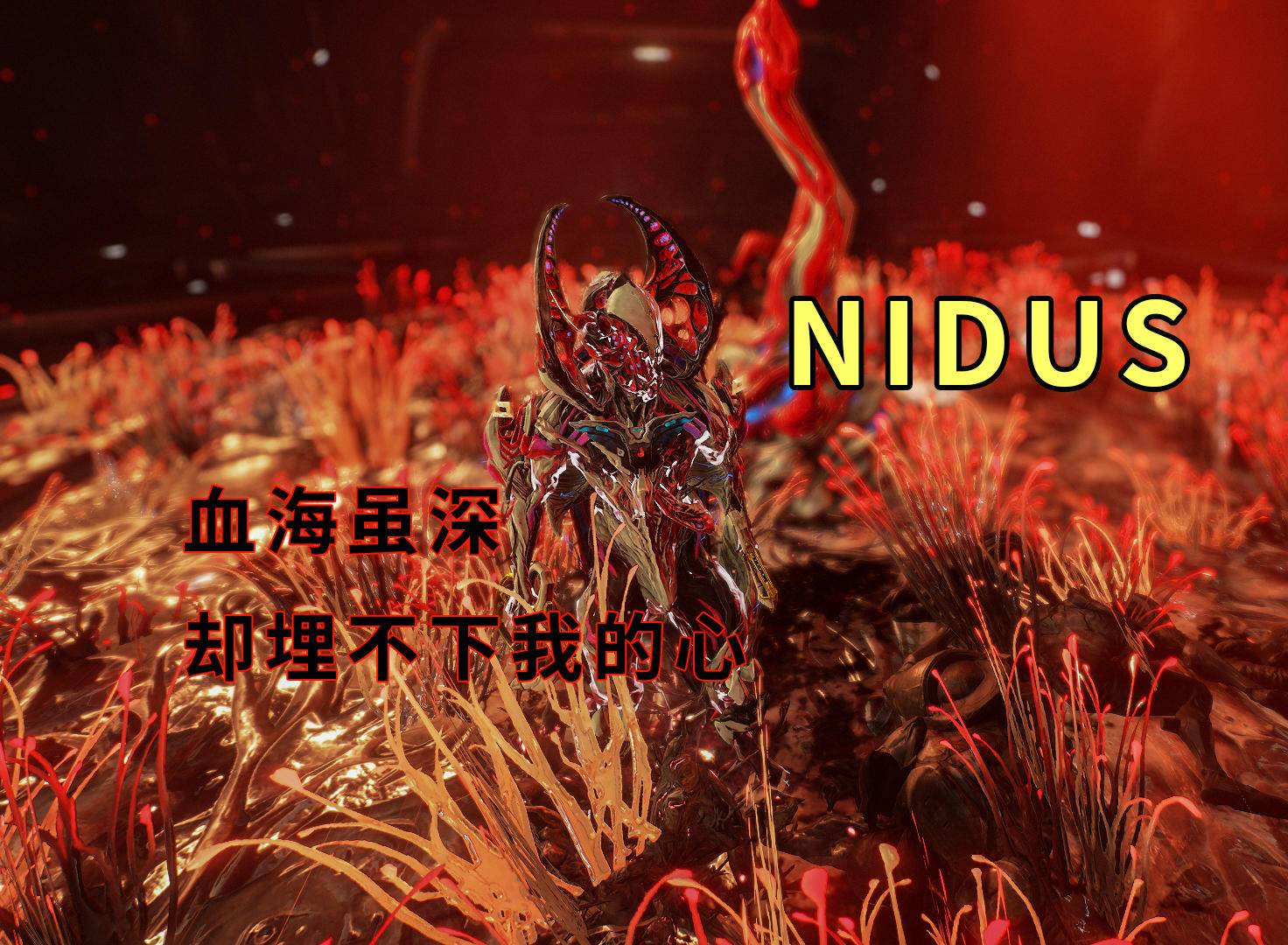 nidus:血深毒深,我心是我心 warframe星际战甲