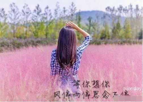 161ae4edfb3a4e97b3734657ffd31844.jpeg