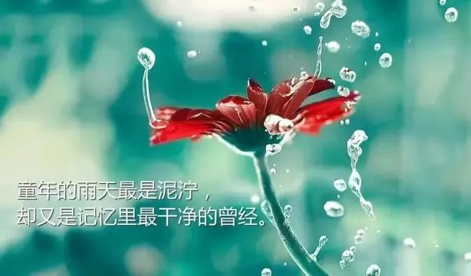 梦见已逝亲人言寿命,一年之约引深思 梦见已逝亲人言寿命,一年之约引深思