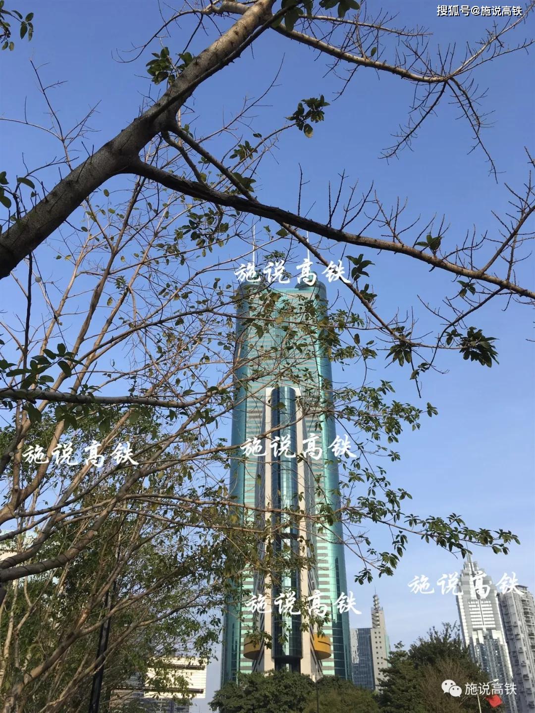 天津为什么gdp腰斩_天津gdp
