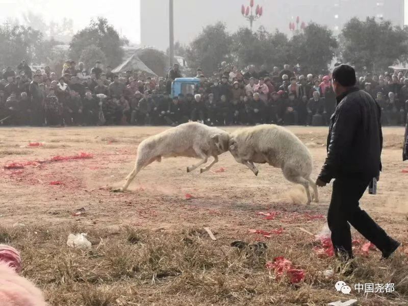 胡集镇总人口_钟祥胡集镇(3)