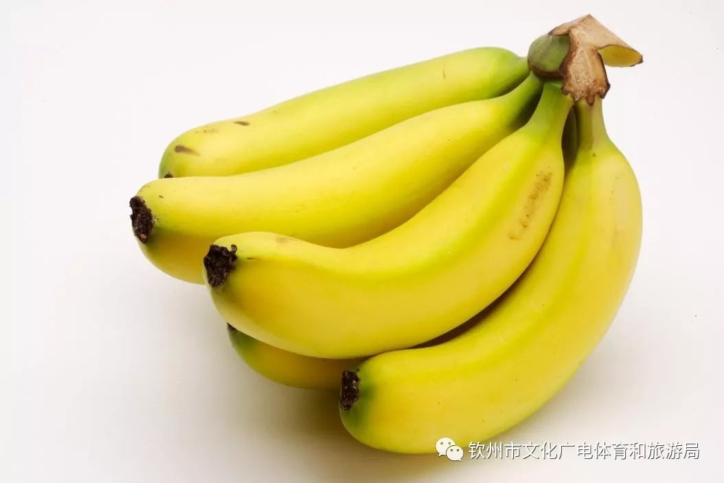 79364fad218b4dbda009bee5fa9e3aa8.jpeg