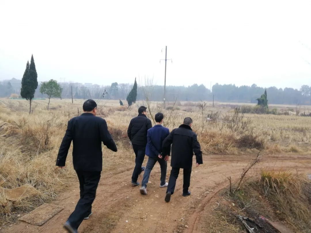 吉水人口有多少