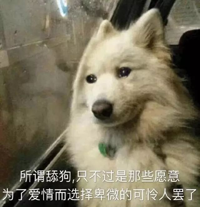 沙雕狗狗表情包来袭,赶紧收起来!