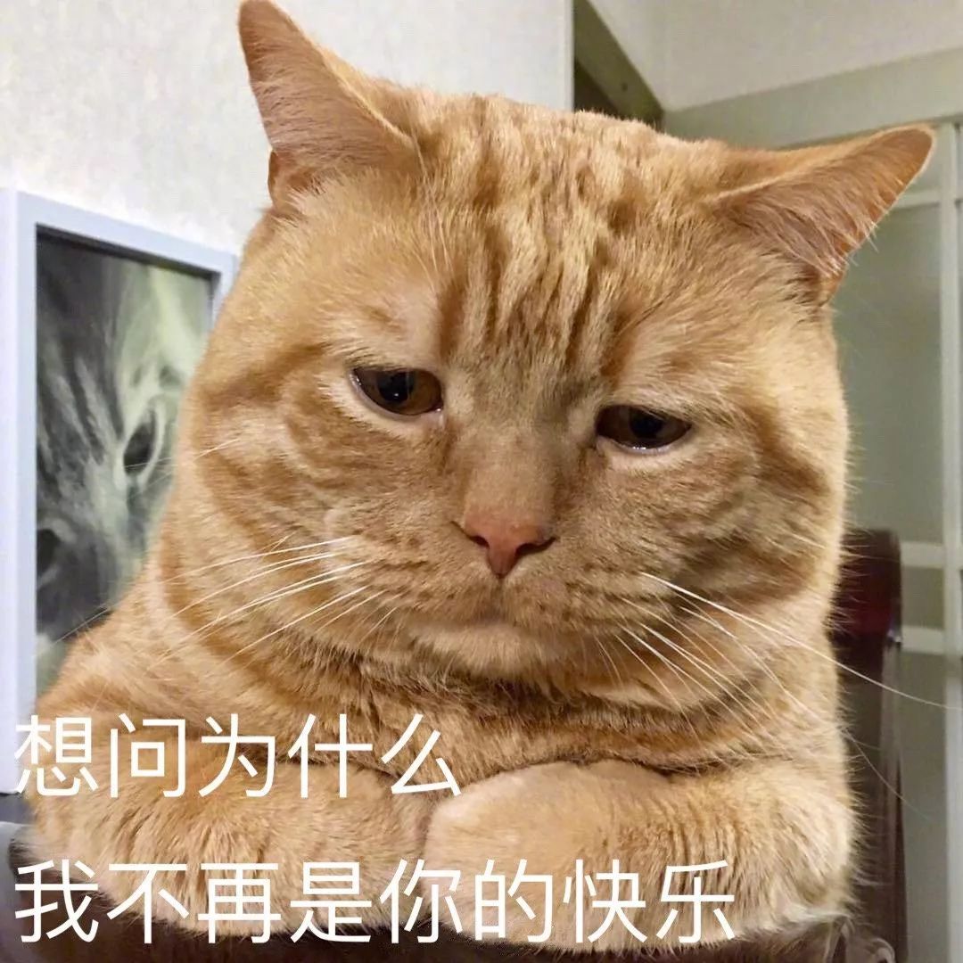 表情包分享丨生活最重要的就是哈哈哈哈哈!