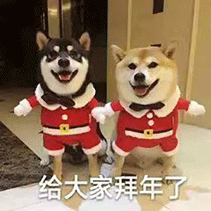 2020鼠年拜年表情包合集