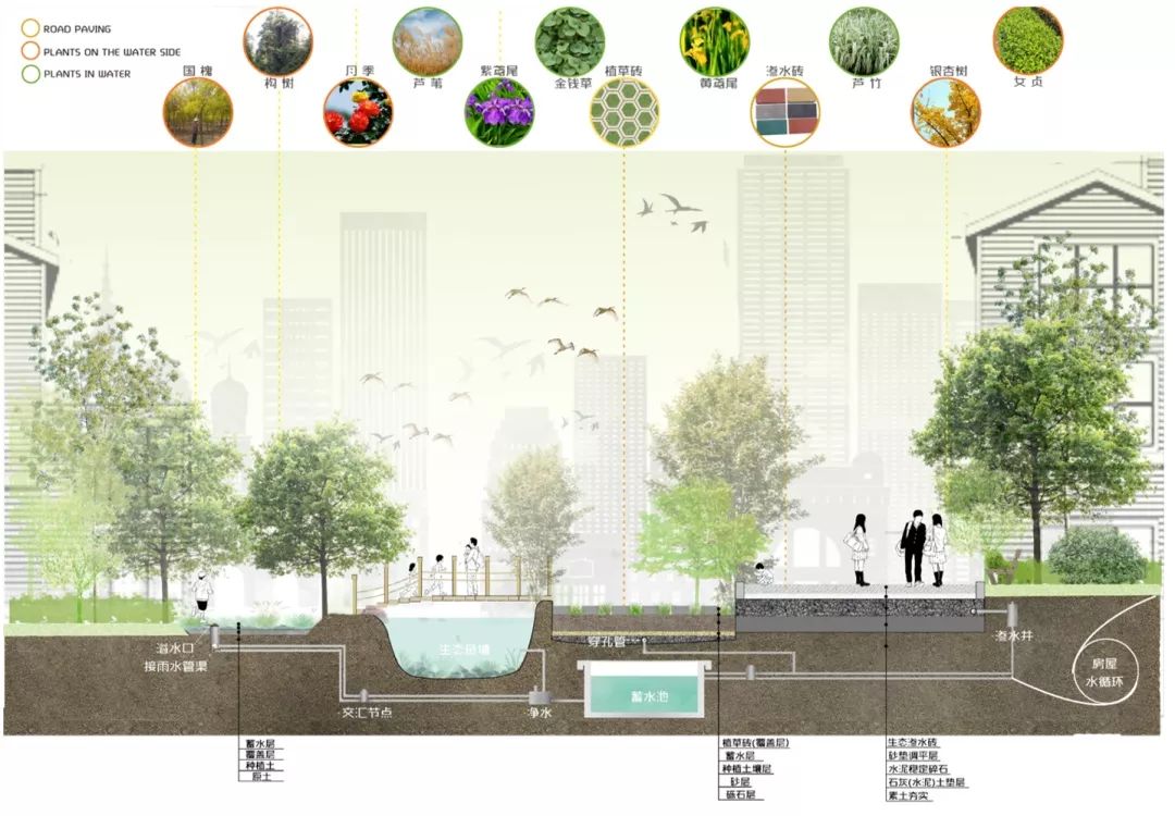 雨水花园剖面设计像素化建筑小镇水系统流程图小镇雨水循环设计可