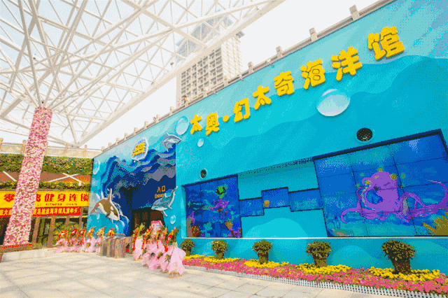 这个新春一起探索海洋奥秘,徜徉海底世界吧!