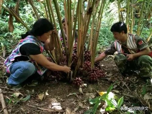 一个山村教师在怒江工作的感悟