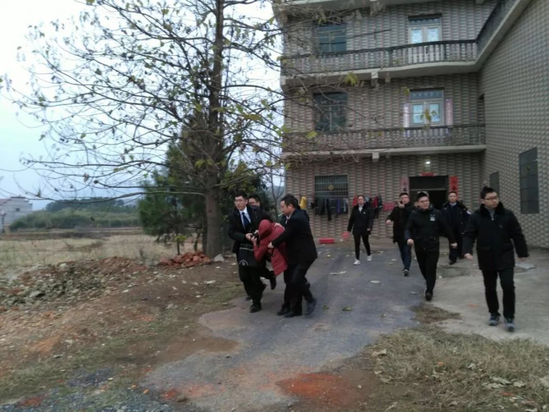 吉水人口有多少