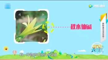 d7a6415faab248e4be97f40daf16bc7c.png