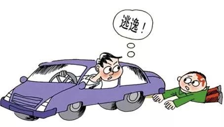 交通肇事逃逸找不到人怎么办 e7b0807b0d594821947ab92b946093b6.jpeg