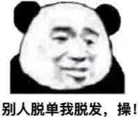 熊猫头表情包 i 各位老板,恭喜发财 !