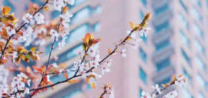 如何让自己心态变年轻 5e0fc24a2a2e49b99b103c6bb80dc64c.jpeg