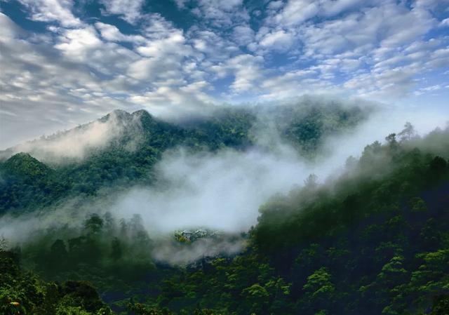 《宁都佛教圣地莲花山》《宁都小布风光》《宁都小布岩茶园》《会昌