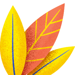 【春节特献】肖建彬：任何一个老师成长为优秀教师都是多因素共同作用的结果