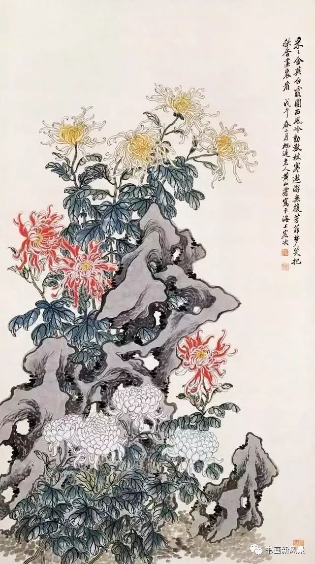 黄山寿 菊花