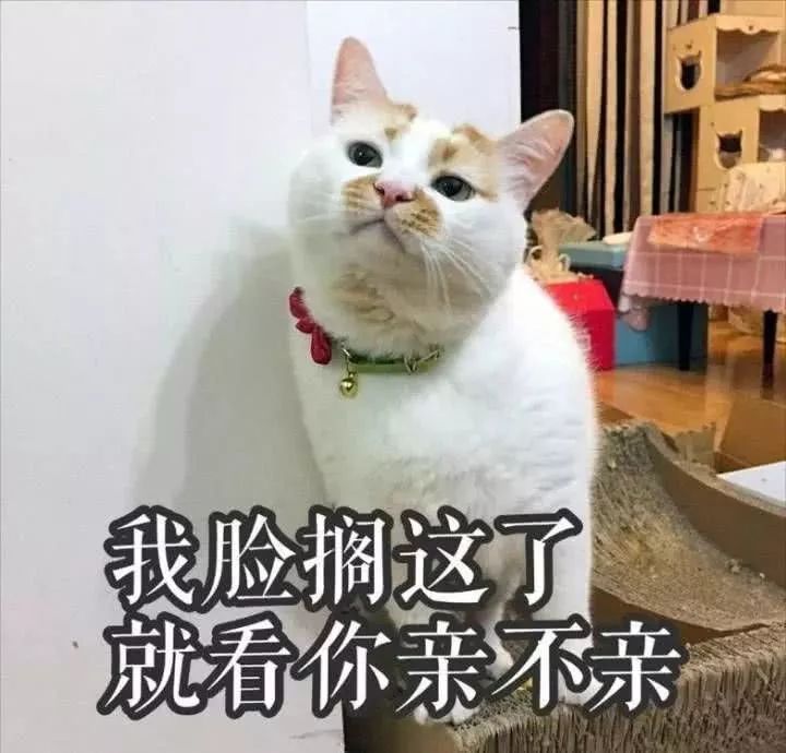 d4cf59677f6743f5a5af130e4ccec47d.jpeg
