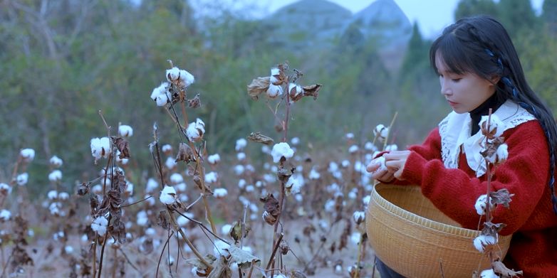 新年看李子柒弹棉花视频