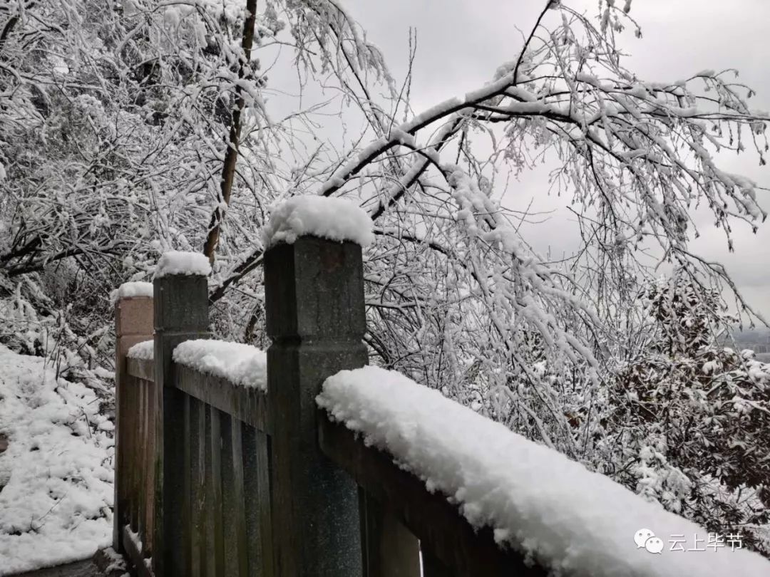 下雪了毕节各地普降大雪建议市民少出门