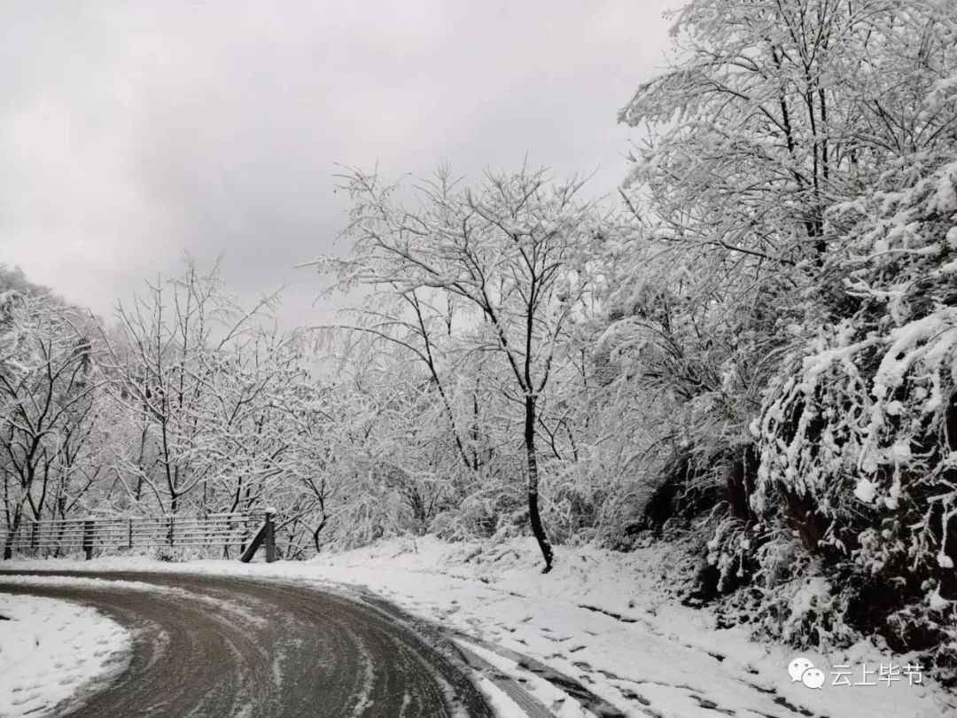 下雪了毕节各地普降大雪建议市民少出门