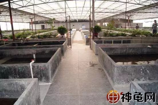 07eccc953afa4e869a76a37658a70901.jpeg