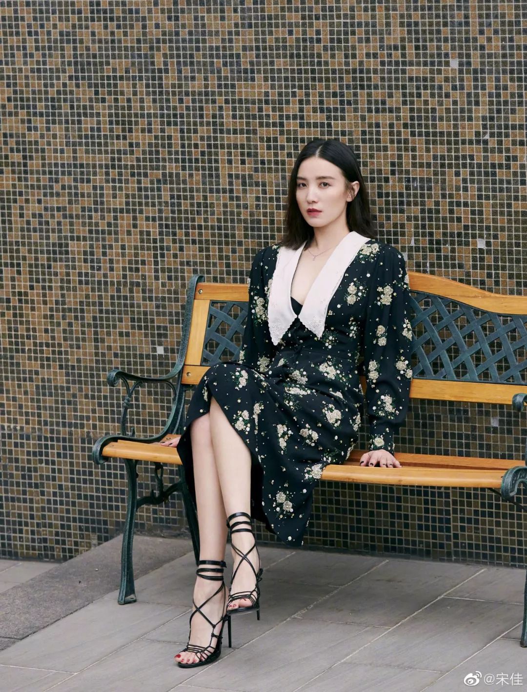 讲真的东北籍女明星的颜值在娱乐圈是什么水平