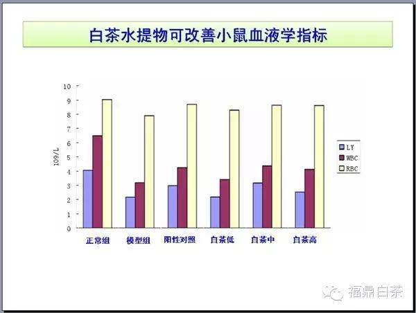 福鼎鼎盛钢铁能给福鼎多少gdp_实时(3)