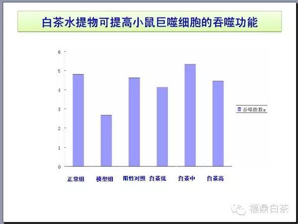 福鼎鼎盛钢铁能给福鼎多少gdp_实时(3)