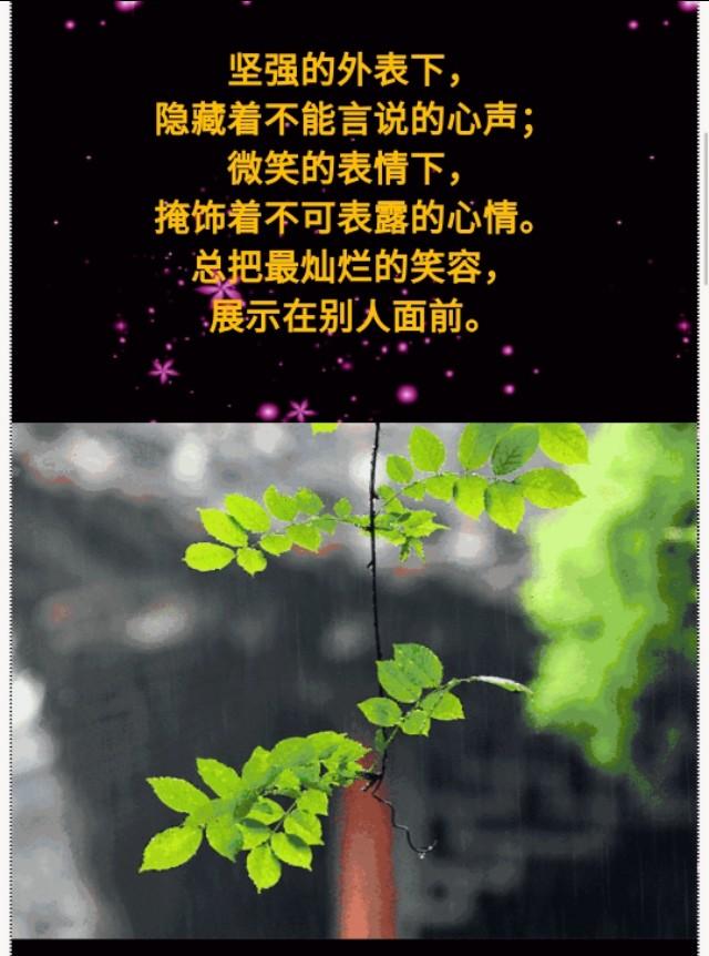 后悔爱上你简谱_不后悔遇到你简谱(2)