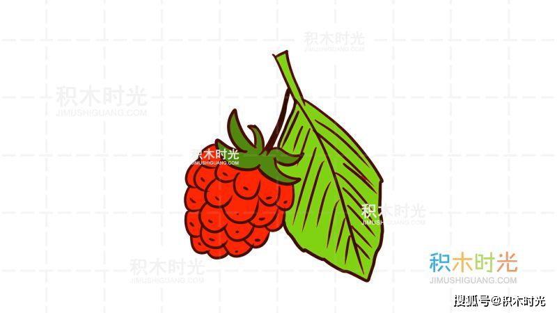 ݮʻ̳,ݮʻ,ľʱʻ