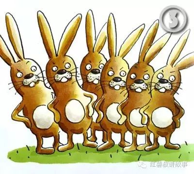 兔子的耳朵为什么没有圆的 9e18a07a26ff4404bcd6d1938e2cb929.jpeg