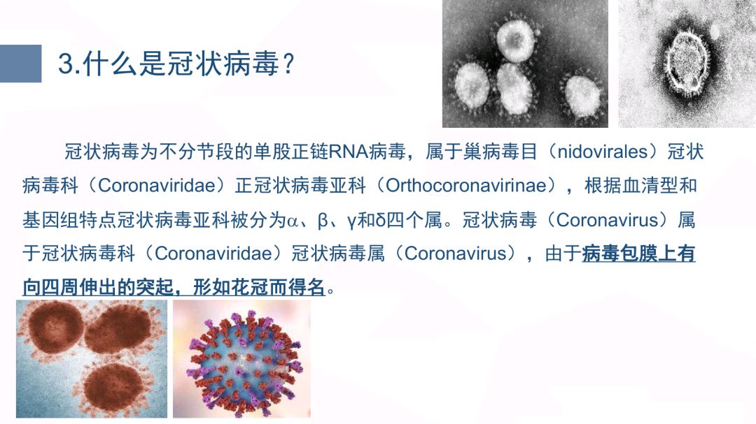 ba676161e800489a8880a8bc97fb44bf.jpeg