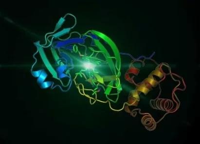 刚刚，科学家公布新型冠状病毒3CL水解酶高分辨率晶体结构