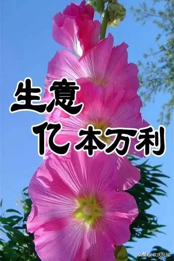 大年初三祝福送上!不管你身在何方,都祝你平安健康!吉祥如意