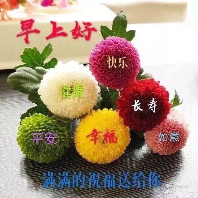 1月27日问候早上好图片带字动态表情早上好图片问候祝福语句子