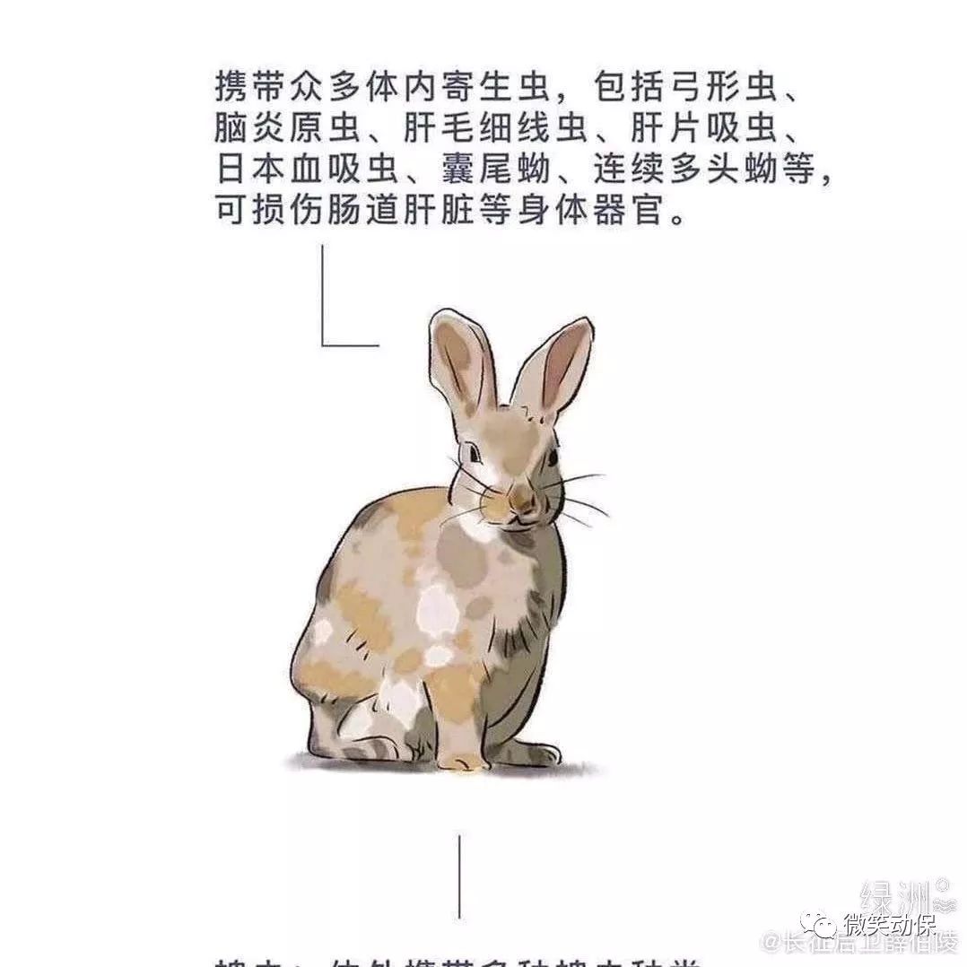 47663f474ae946a298fc2b6b8daa20ff.jpeg
