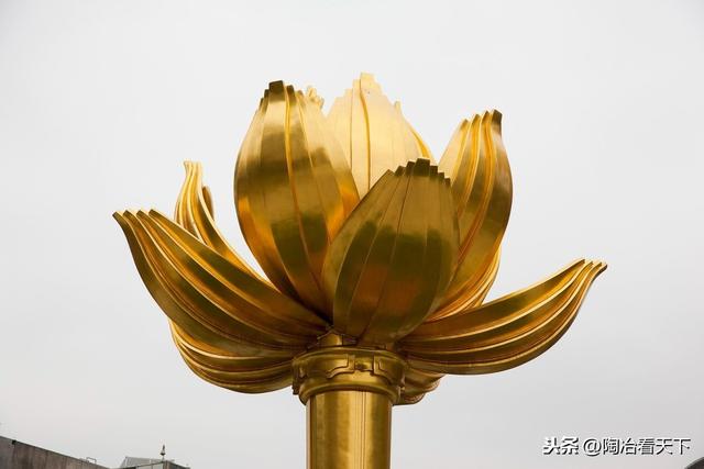 澳门常在人口_澳门人口变化图