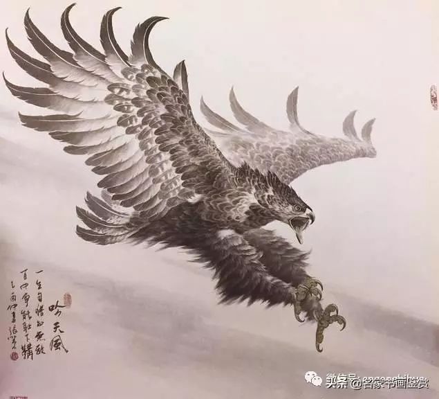 手把手教你画鹰方法,零基础也能画出展翅雄鹰