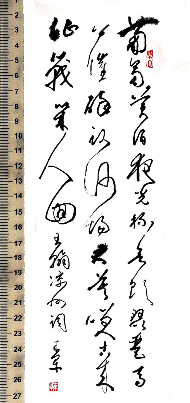 书法硬笔草书：王翰《凉州词》——葡萄美酒夜光杯_搜狐网