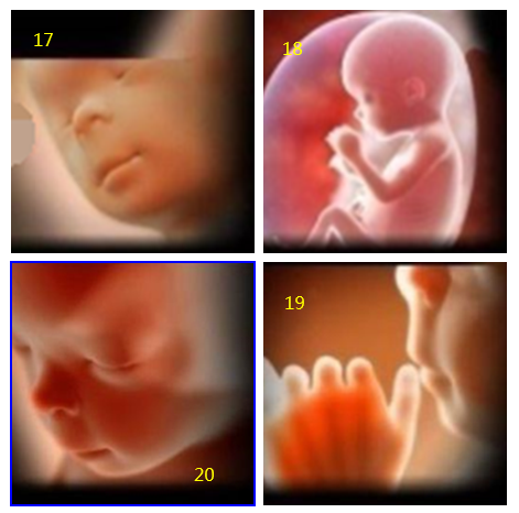 8c908503162f43138cc6f8da7f1a2f8a.png