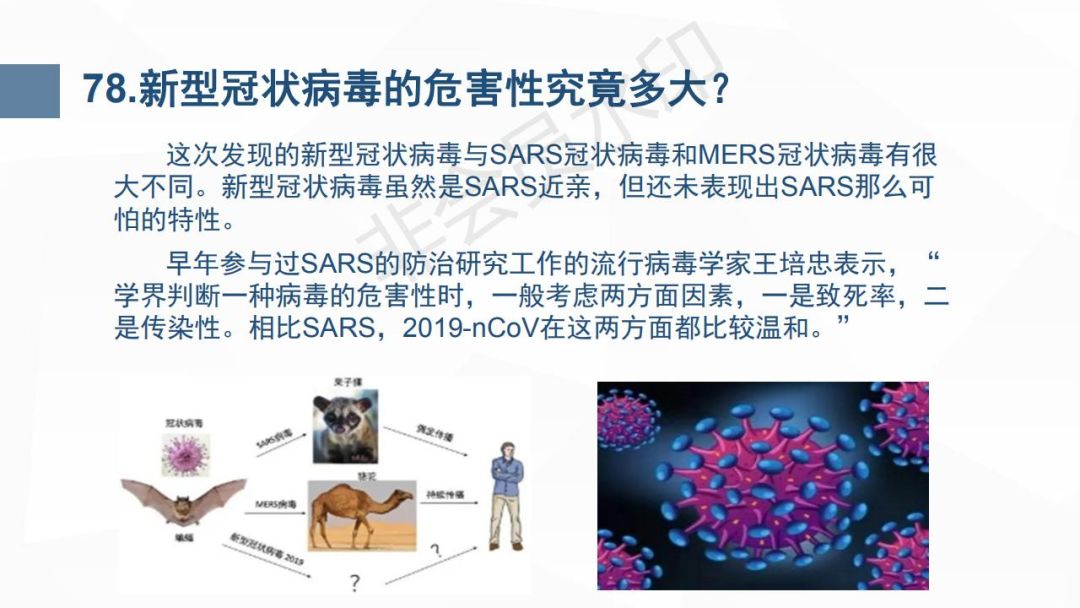 环江多少人口_环江香猪图片