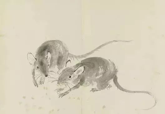 描写鼠的画
