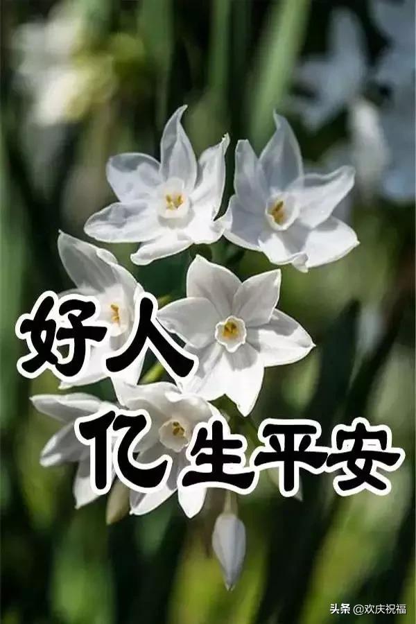 大年初三祝福送上!不管你身在何方,都祝你平安健康!吉祥如意